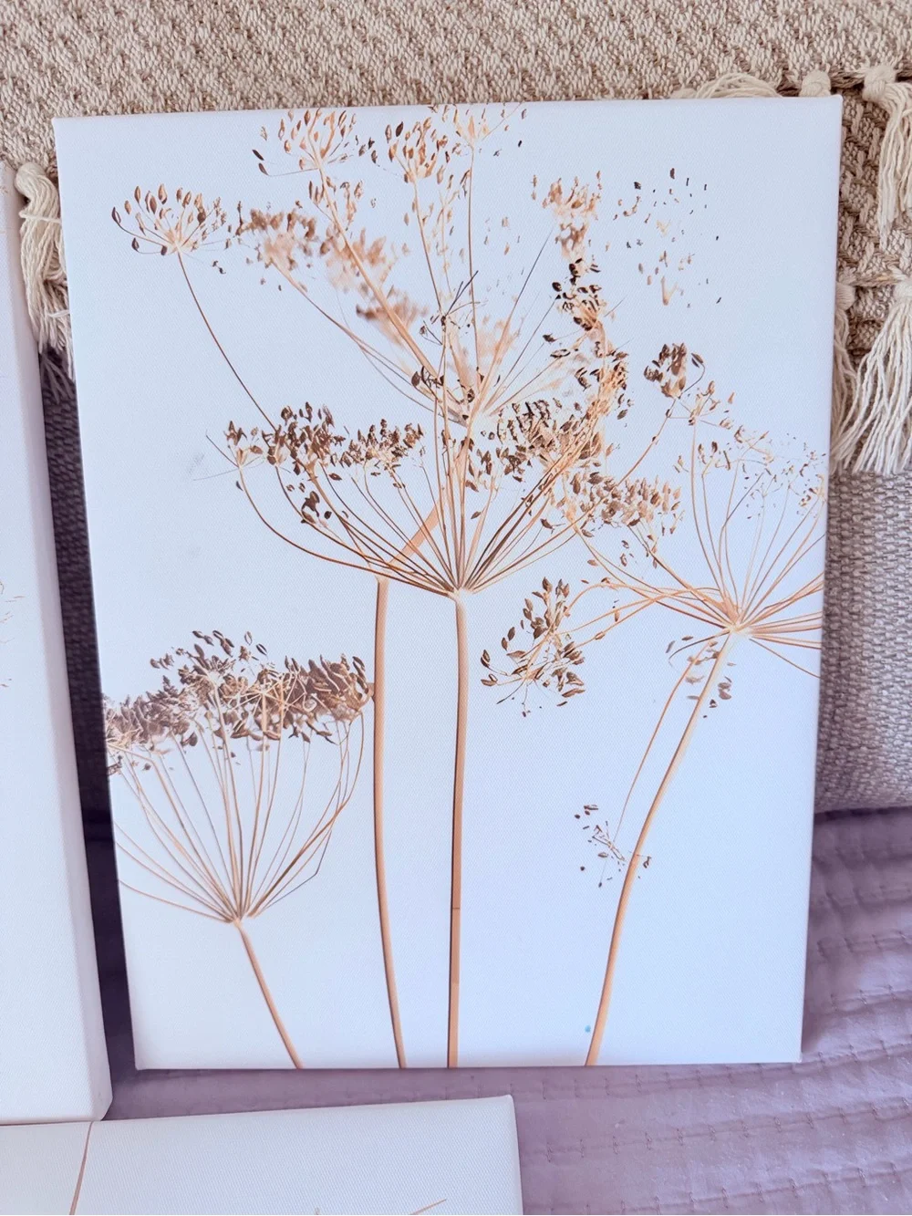 Beige Neutral Botanical Wall Art Set of 3 Framed Boho Neutral Plant Prints 12x16